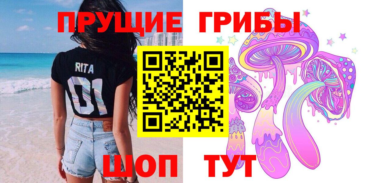 Псилоцибиновые грибы Psilocybe  Вход с VPN  Азнакаево  Псилоцибиновые грибы мухоморы 